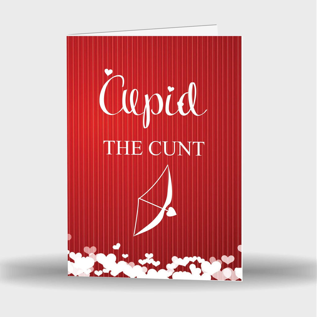 Hilarious Funny Rude Cute Valentines Day Greeting Cards