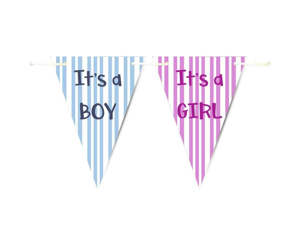 Baby Shower Party Boy Girl Bunting Flags Decorations Colourful Pink Or Blue