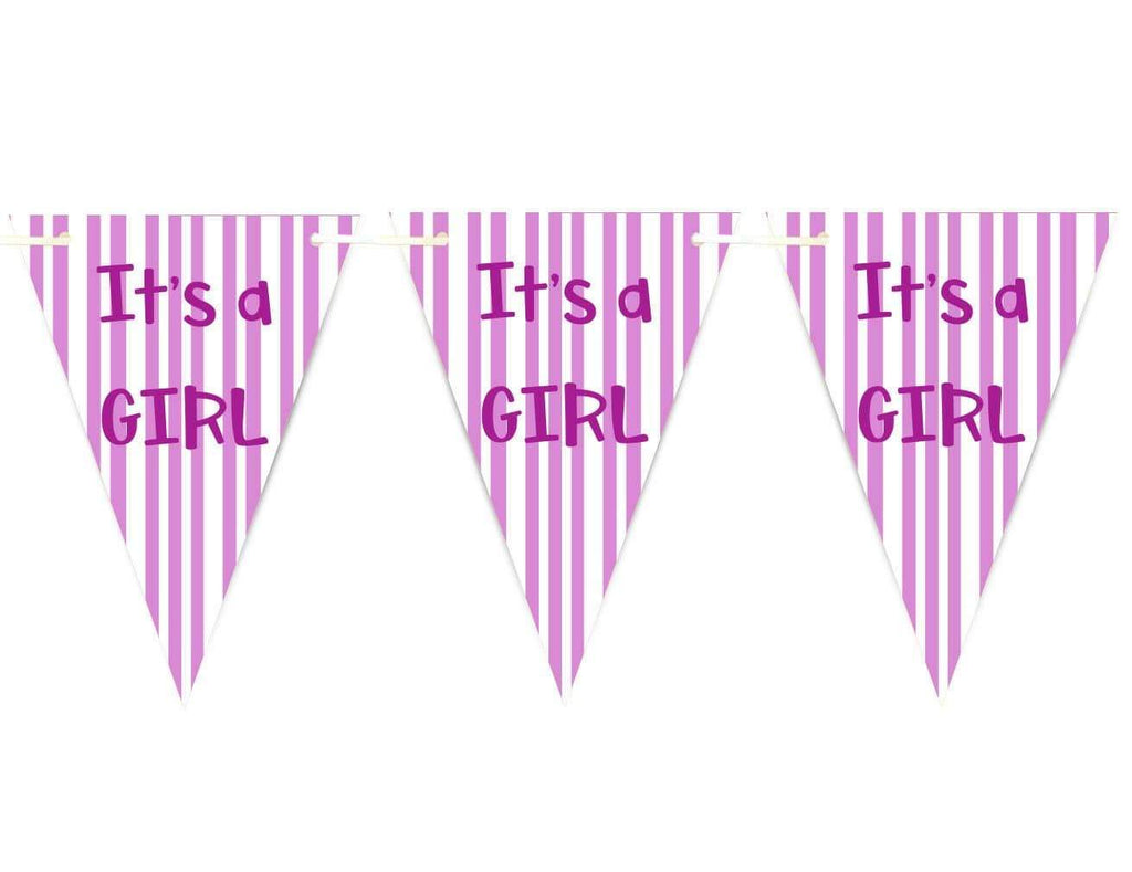 Baby Shower Party Boy Girl Bunting Flags Decorations Colourful Pink Or Blue