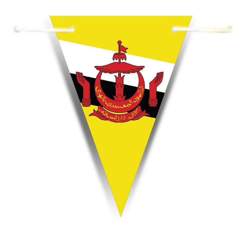 Asia World Flags Bunting Banner Decorations Celebrations Triangle Flags