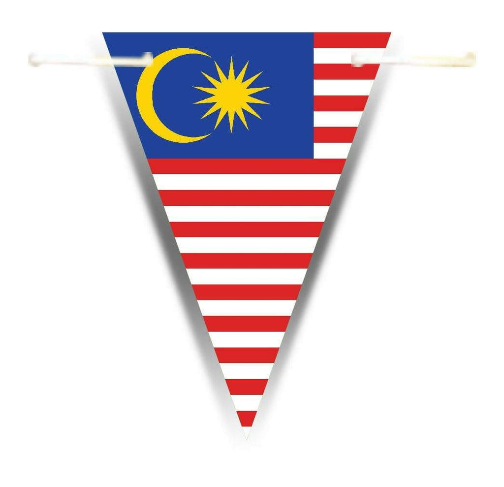 Asia World Flags Bunting Banner Decorations Celebrations Triangle Flags