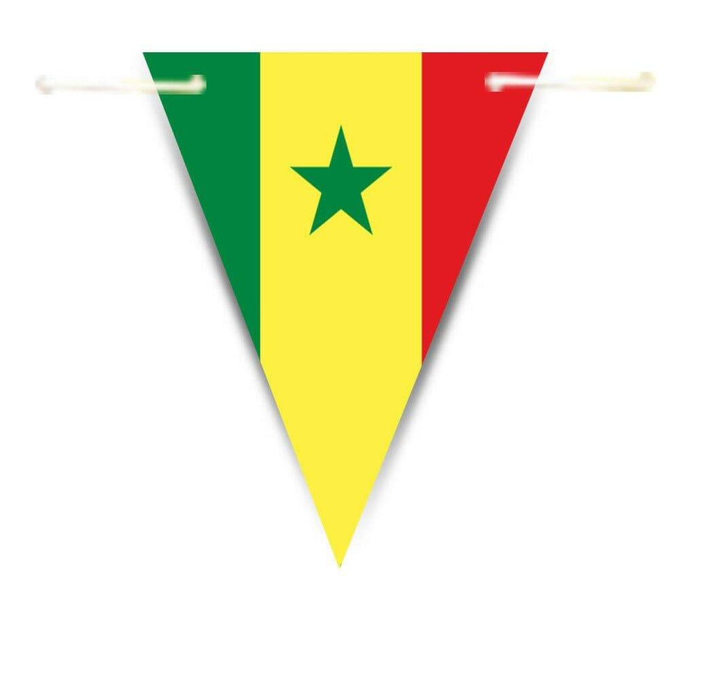 Africa Countries World Flags Triangle Bunting Banner Decorations Celebrations