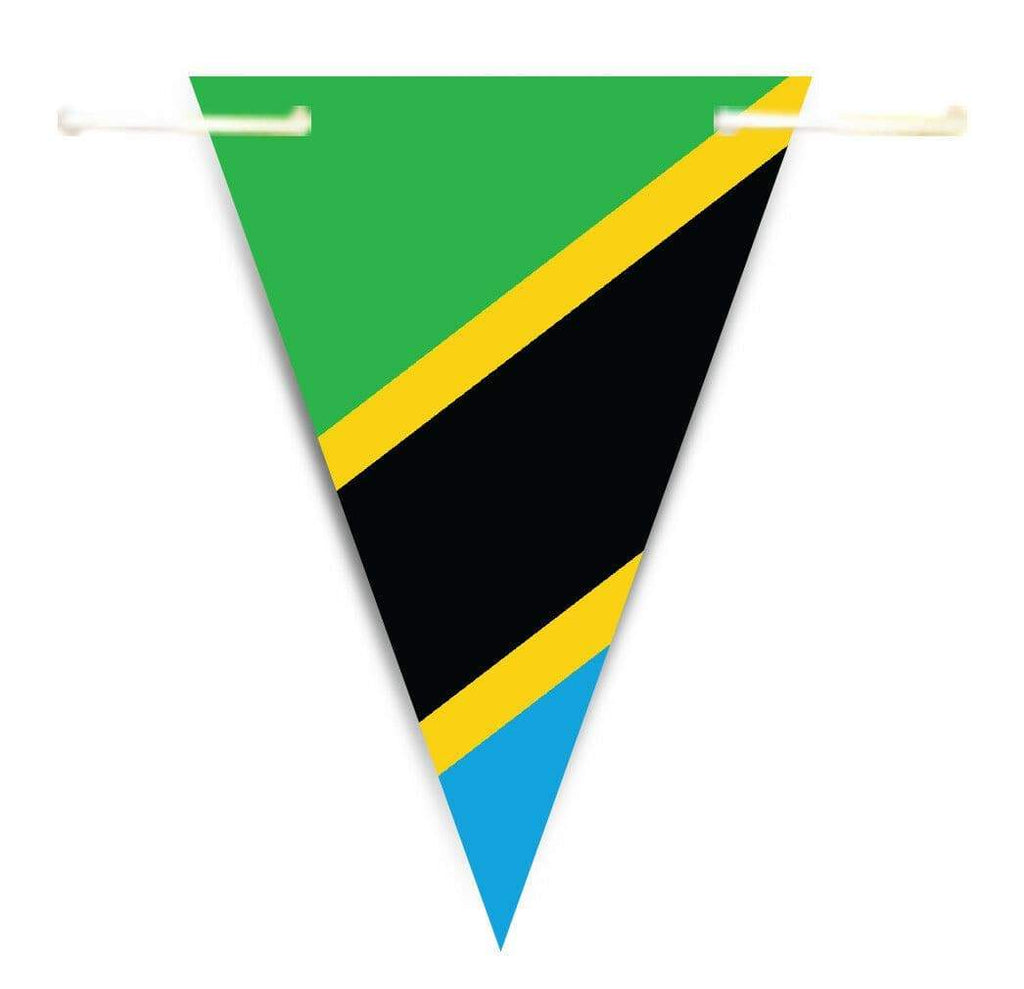 Africa Countries World Flags Triangle Bunting Banner Decorations Celebrations